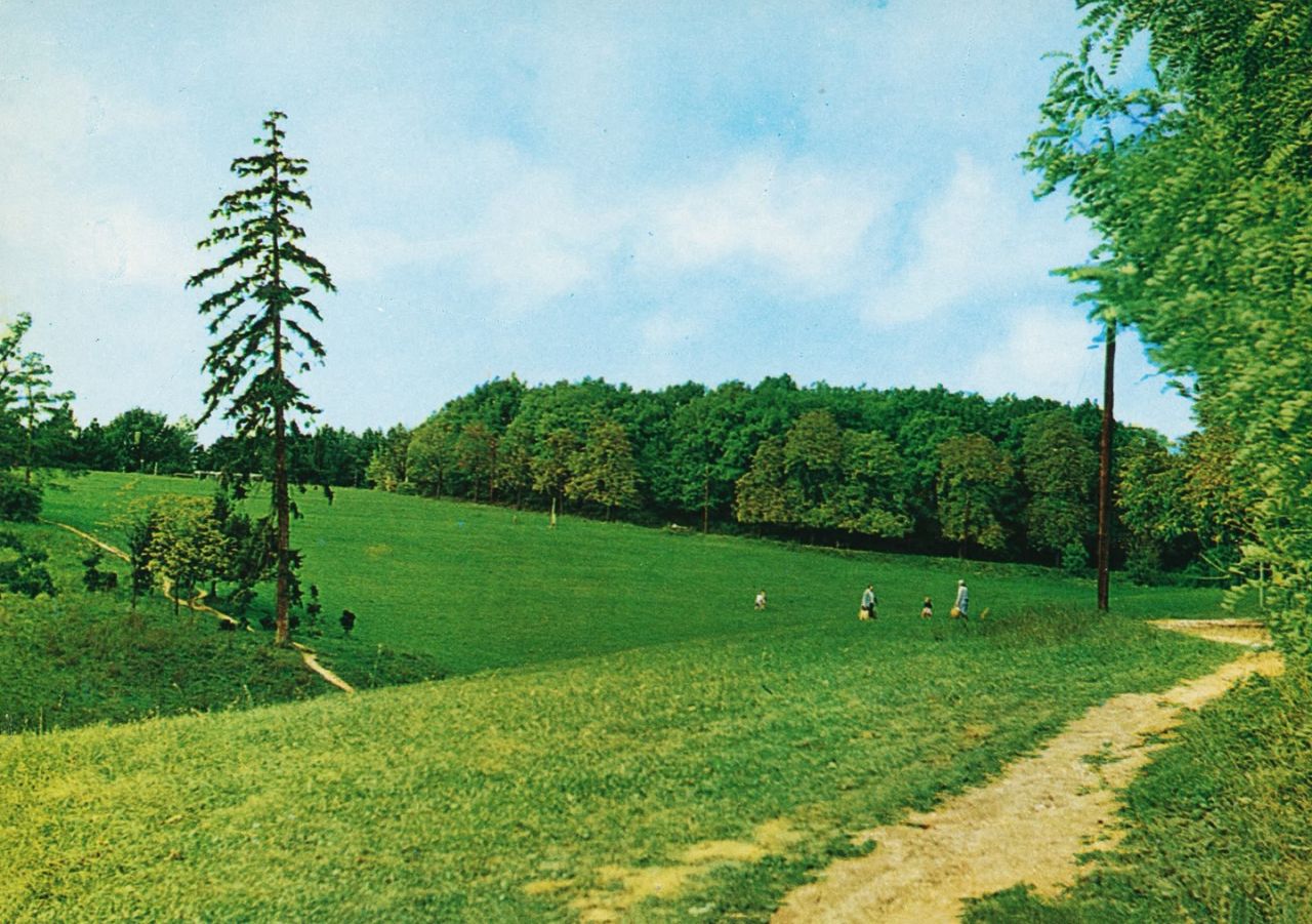 Park-šuma Cmrok, poljana